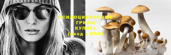 мдма Богородицк