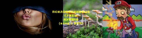 амф Богданович