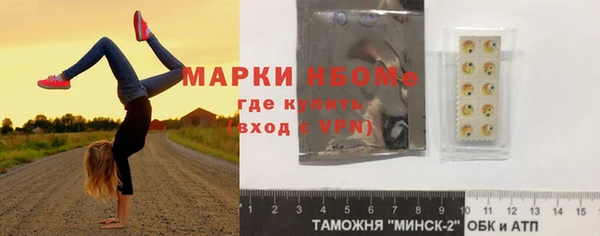 молекула духа Богородск