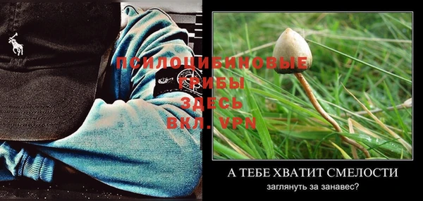 мдма Богородицк