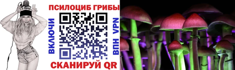 OMG вход  Минеральные Воды  Галлюциногенные грибы мицелий 